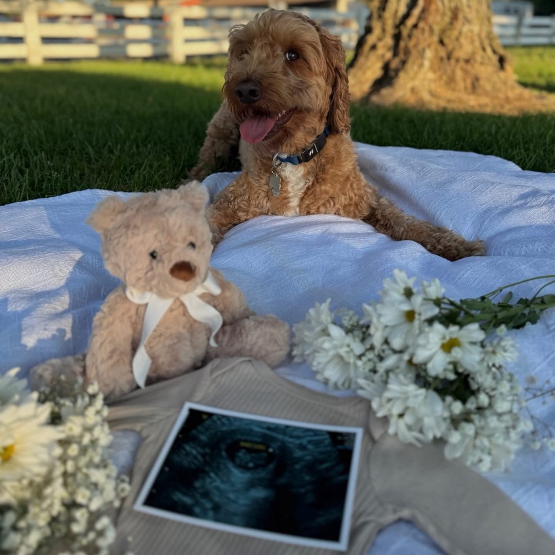 Photo shared by Gabriela for their Babylist baby registry.