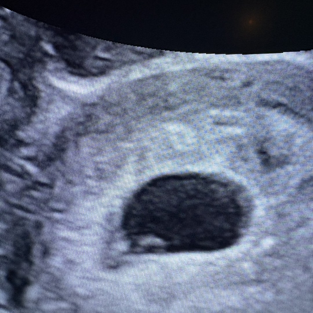 Photo shared by Camery for their Babylist baby registry.
