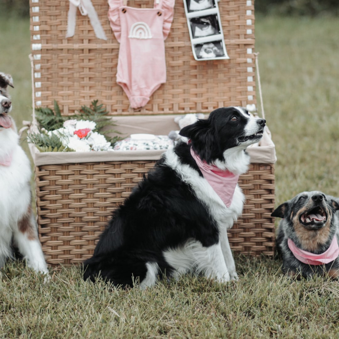 Photo shared by Erica for their Babylist baby registry.