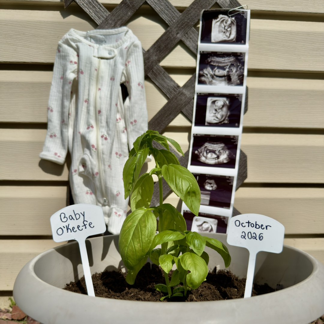 Photo shared by Megan for their Babylist baby registry.