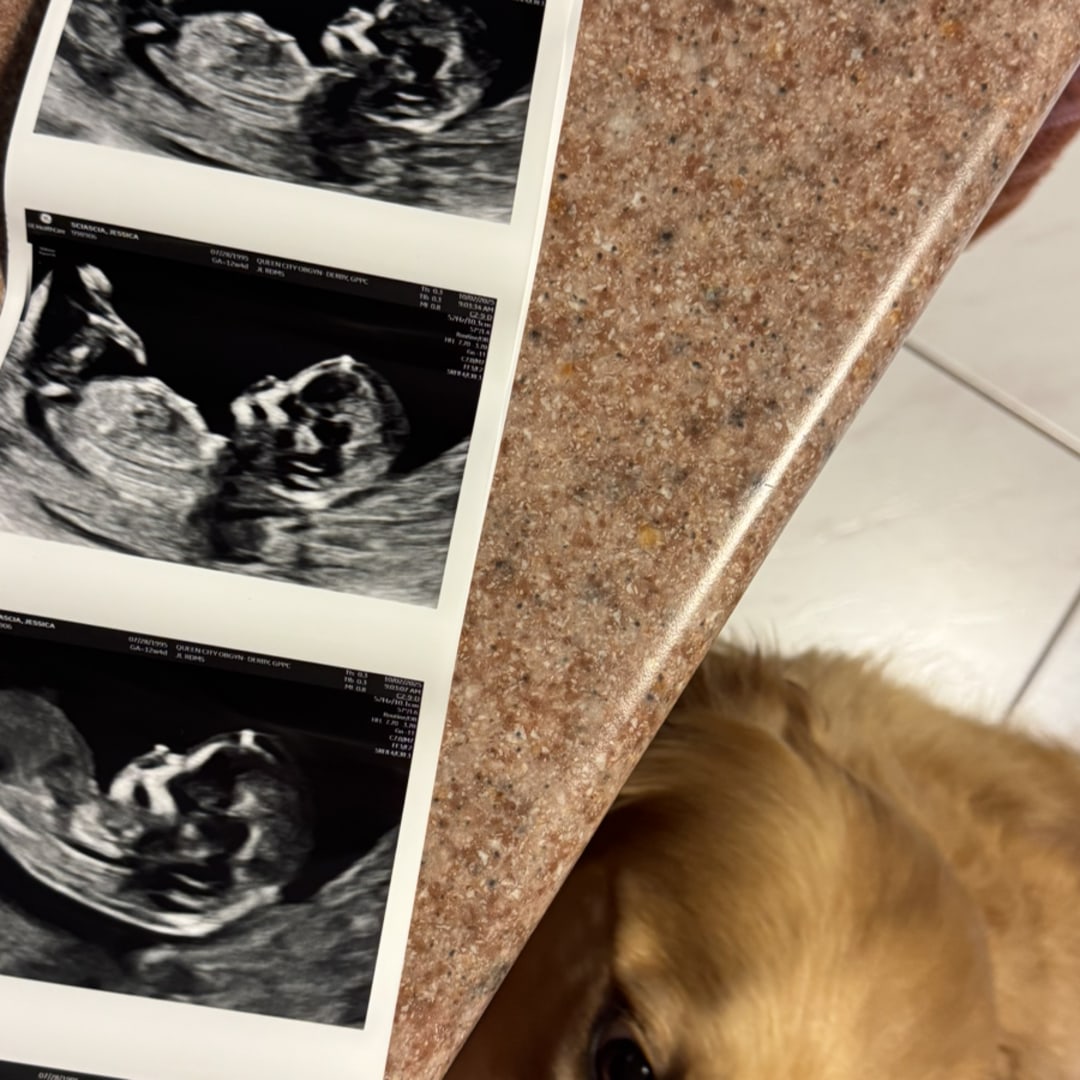 Photo shared by Jessica for their Babylist baby registry.