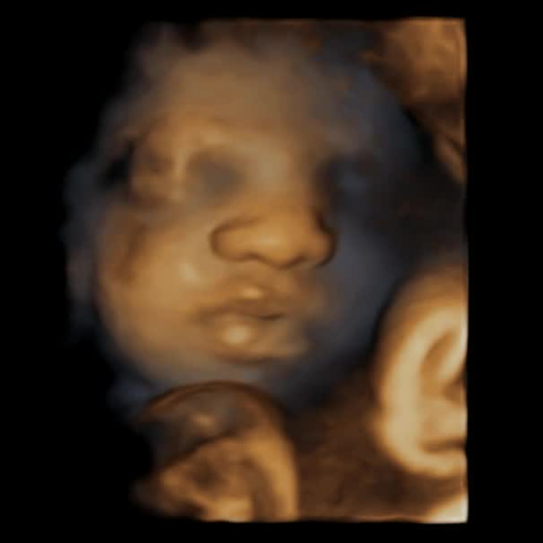 Photo shared by Nevaeh for their Babylist baby registry.