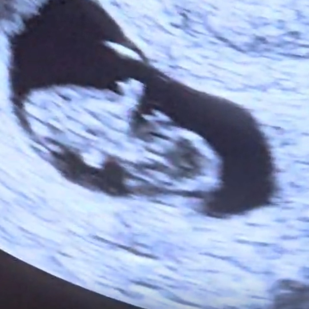 Photo shared by Seng for their Babylist baby registry.