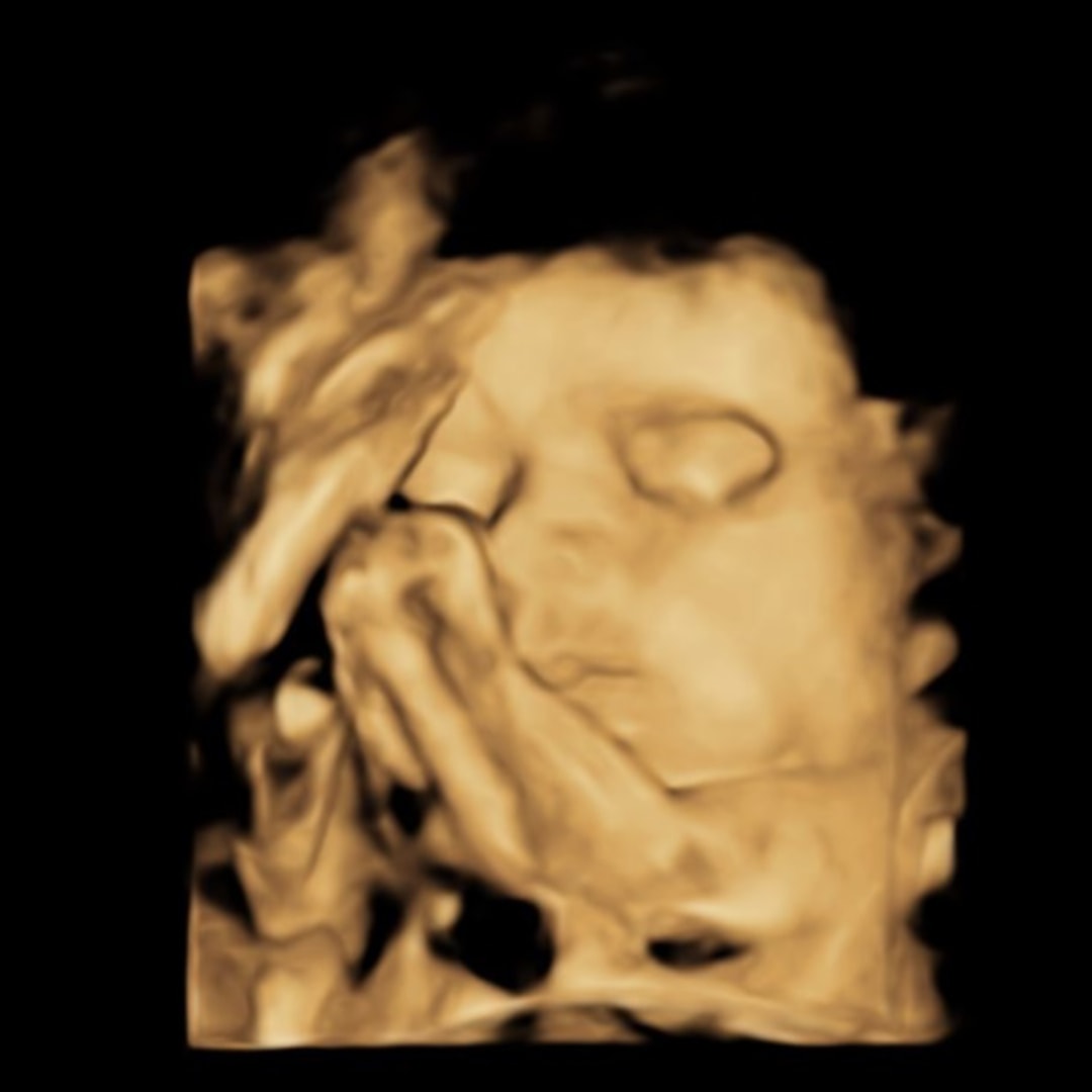 Photo shared by Jordan for their Babylist baby registry.