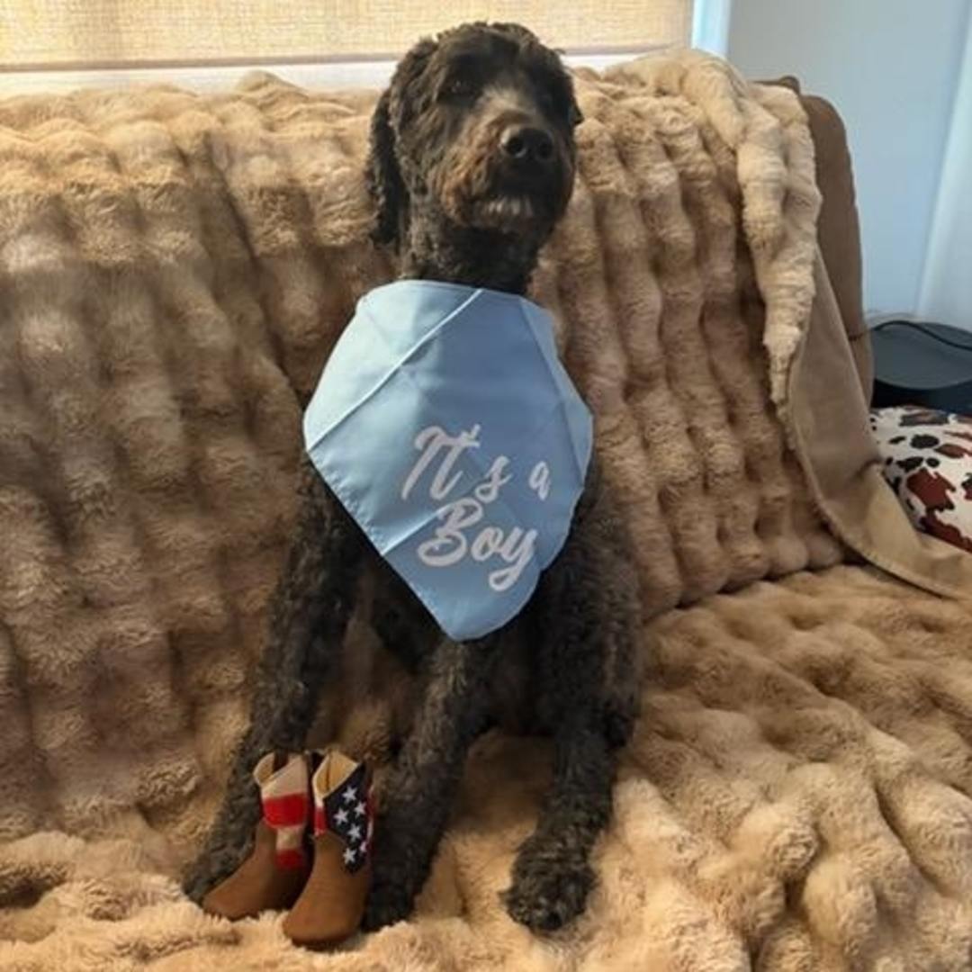 Photo shared by Amber for their Babylist baby registry.