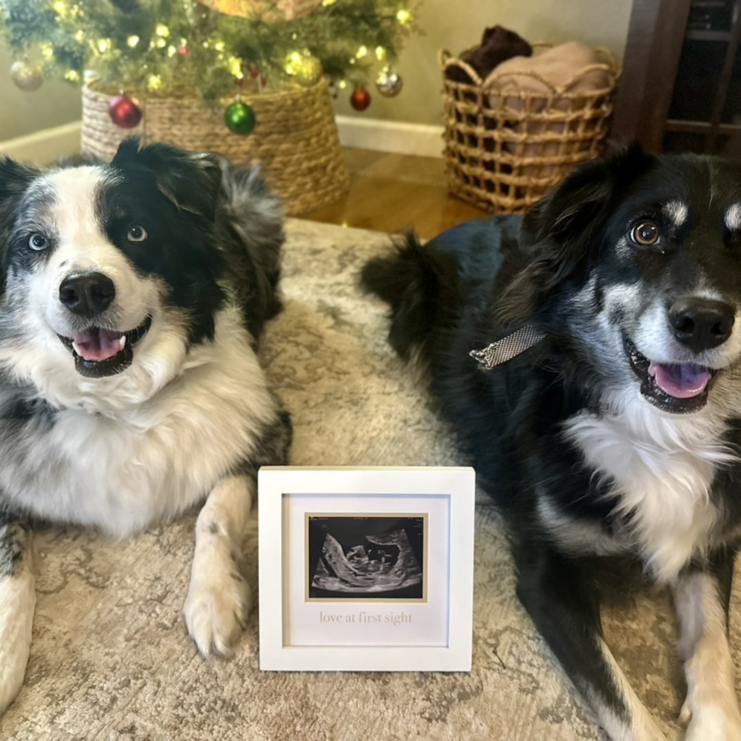 Photo shared by Katlynn for their Babylist baby registry.