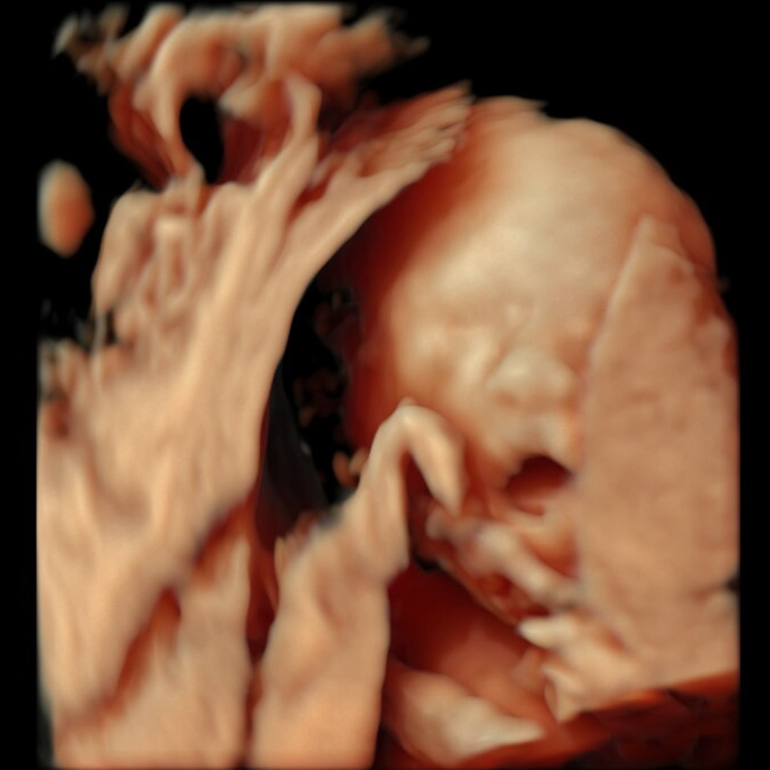 Photo shared by Abigail for their Babylist baby registry.