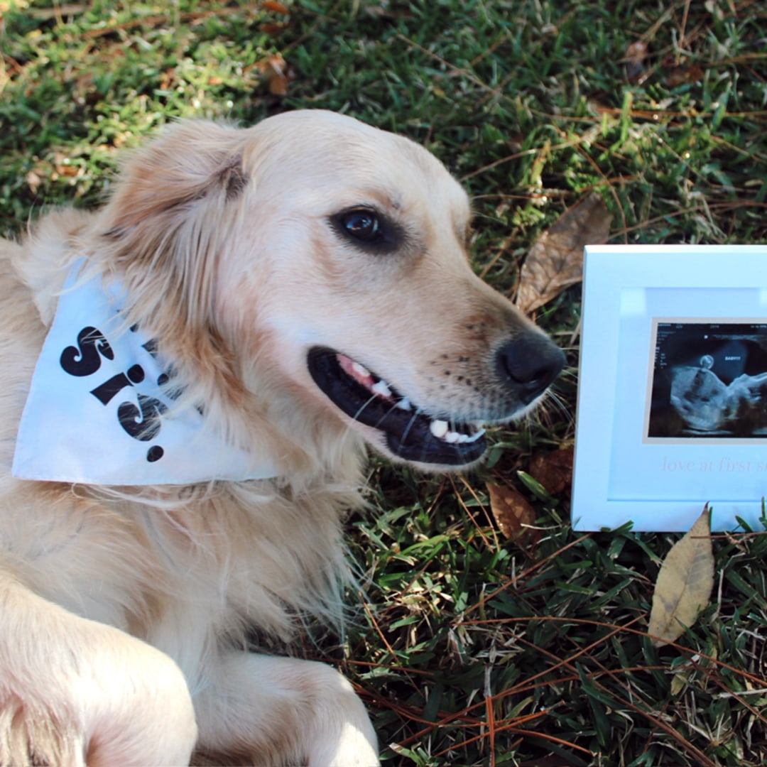 Photo shared by Abby for their Babylist baby registry.