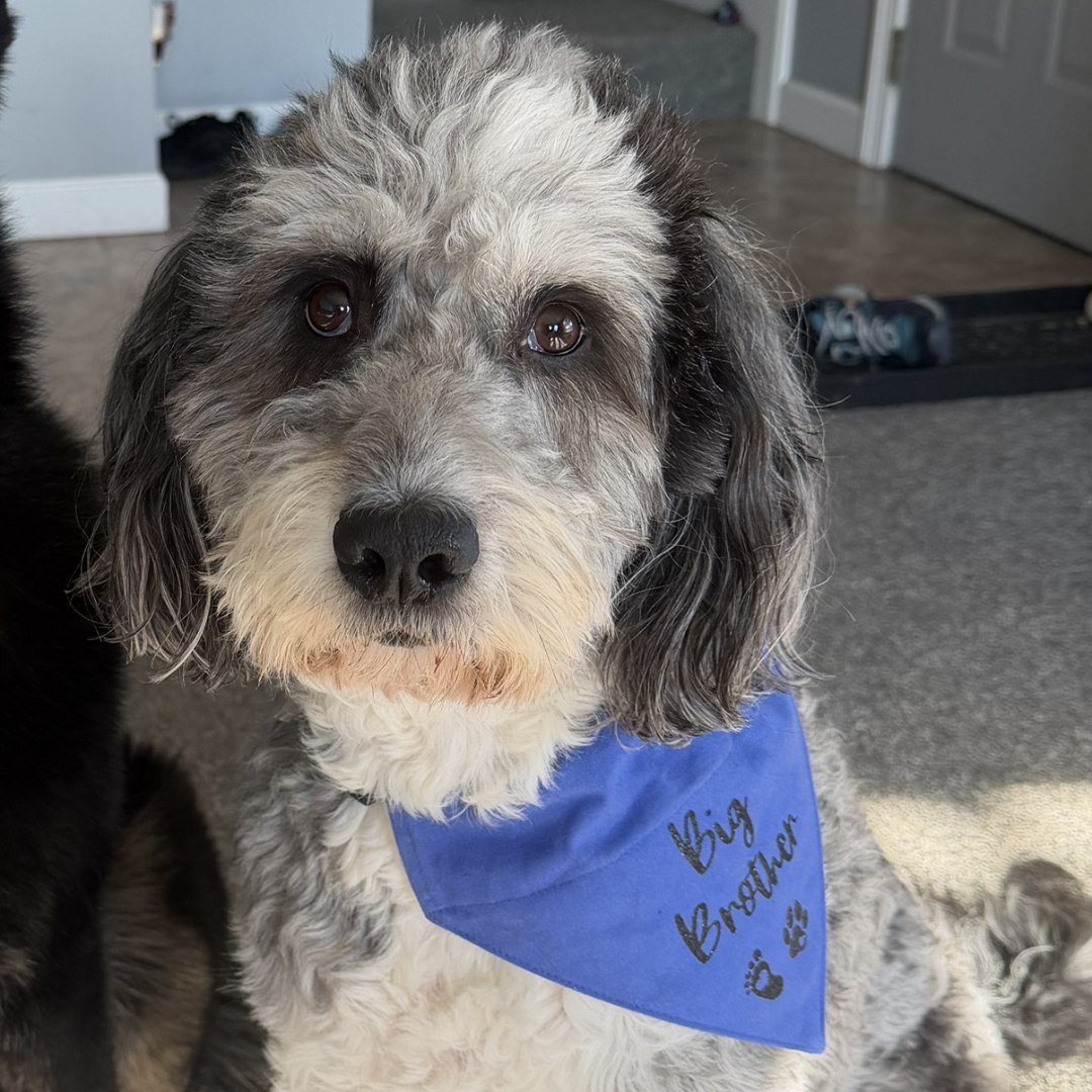 Photo shared by Abby for their Babylist baby registry.