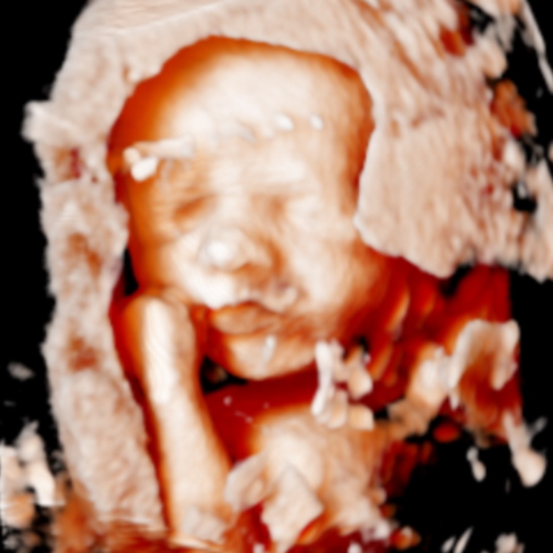Photo shared by Bailey for their Babylist baby registry.