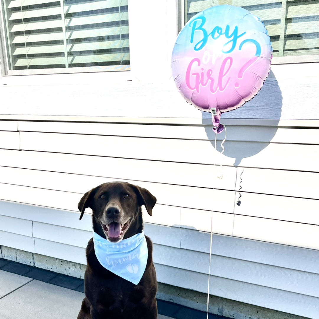 Photo shared by Staci for their Babylist baby registry.