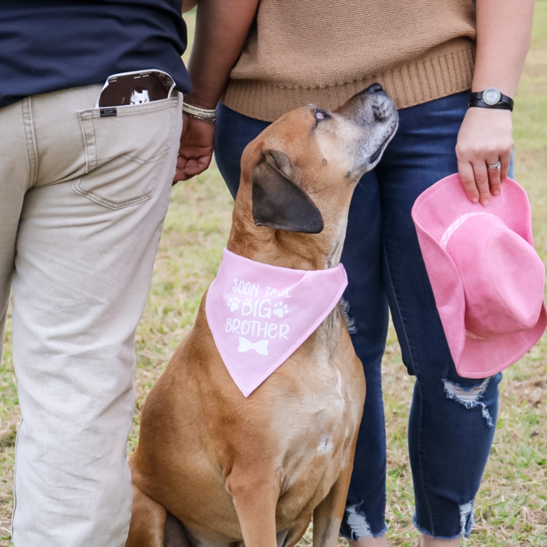 Photo shared by Claire for their Babylist baby registry.