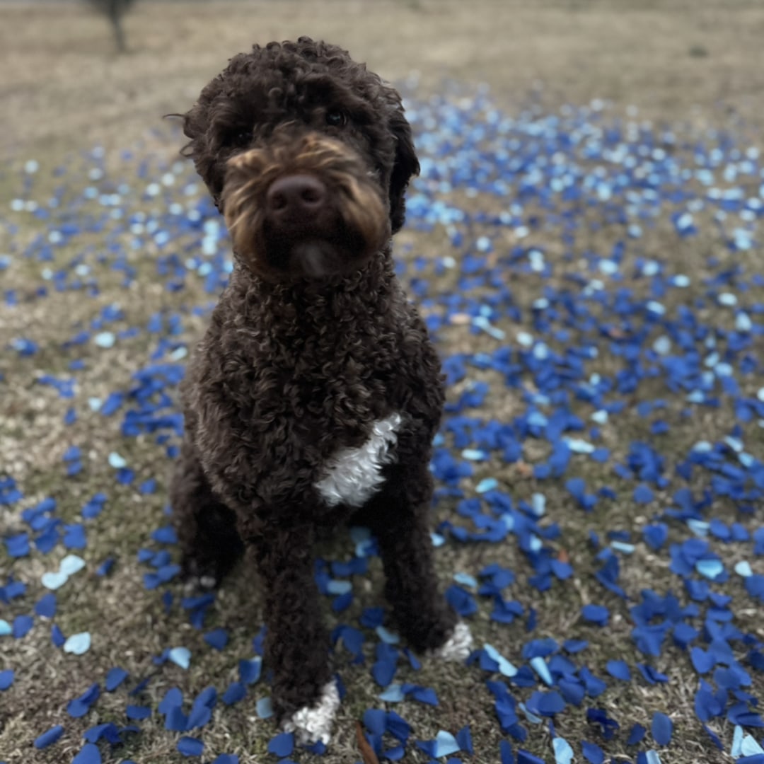 Photo shared by Blair for their Babylist baby registry.