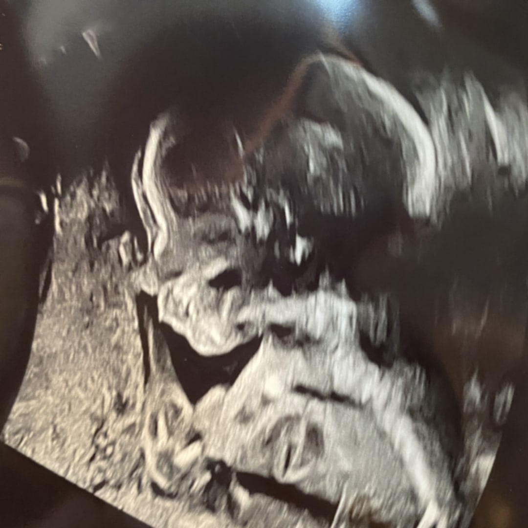 Photo shared by Kayla for their Babylist baby registry.