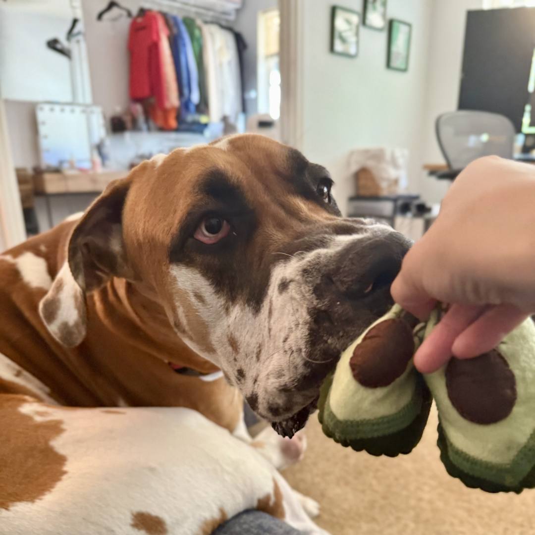 Photo shared by Rebecca for their Babylist baby registry.