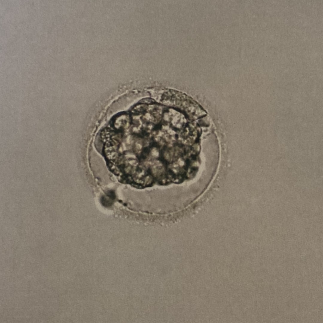 Photo shared by Elizabeth for their Babylist baby registry.