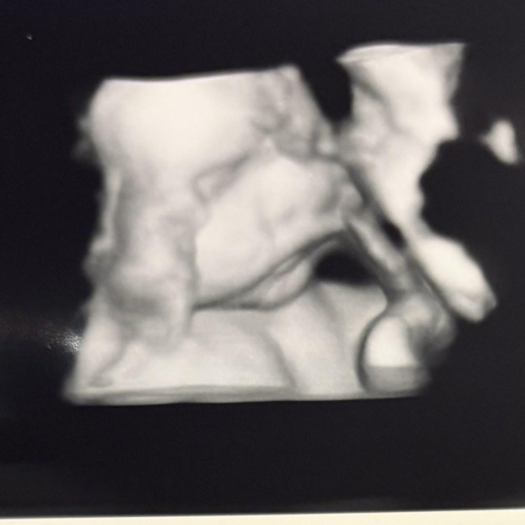 Photo shared by Alana & for their Babylist baby registry.