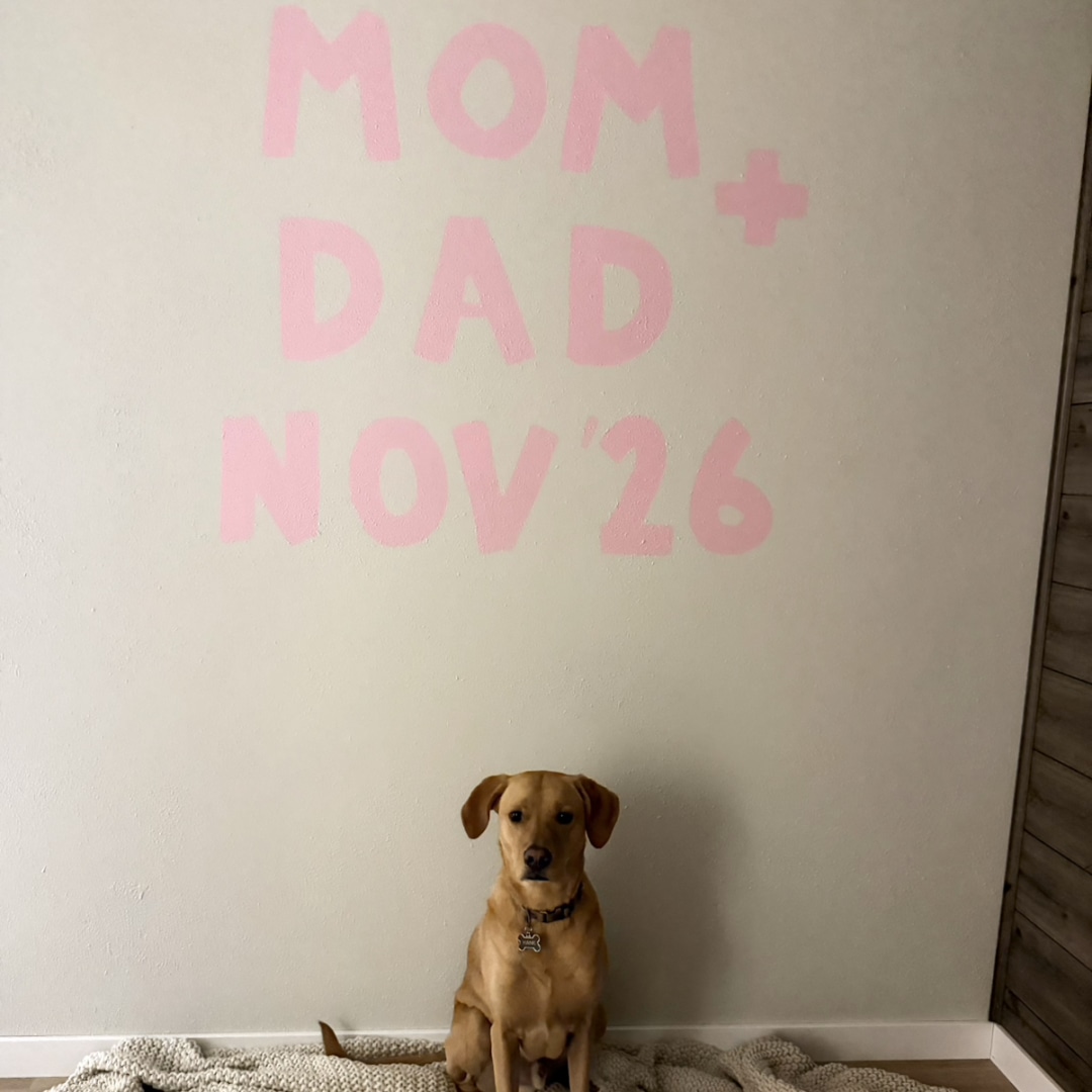 Photo shared by Haylee for their Babylist baby registry.