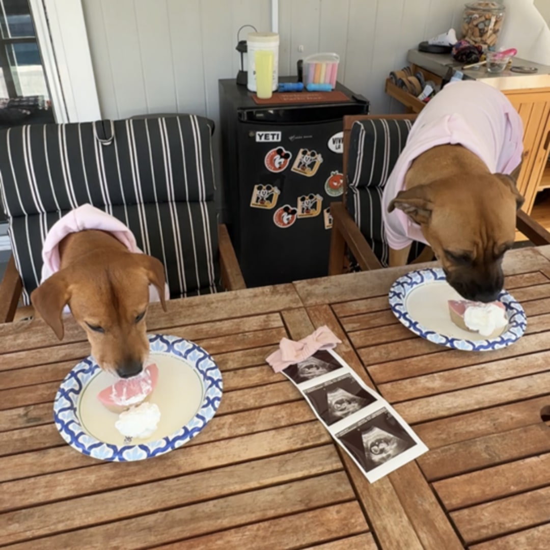 Photo shared by Sara for their Babylist baby registry.