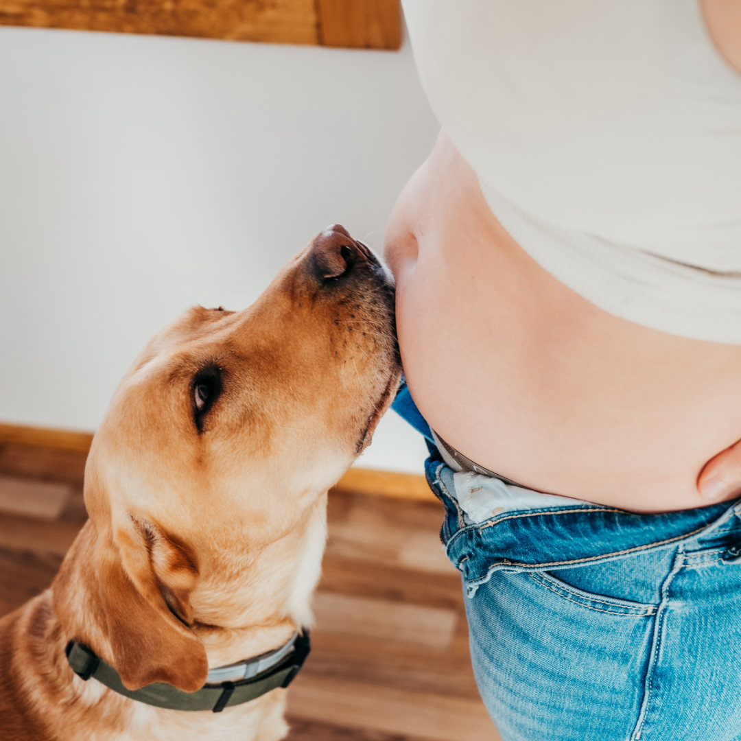 Photo shared by Brittany for their Babylist baby registry.