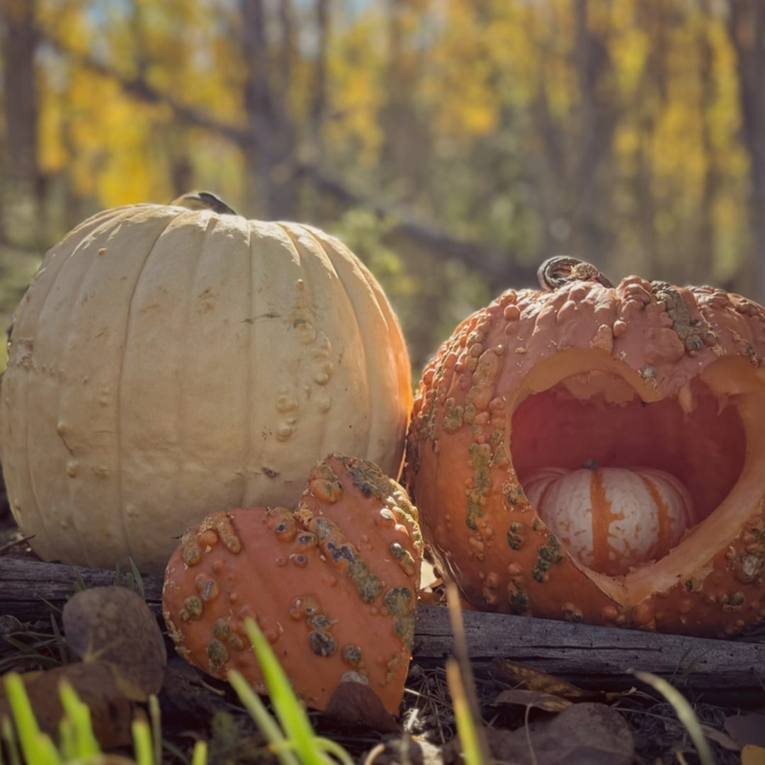 Photo shared by Amanda for their Babylist baby registry.