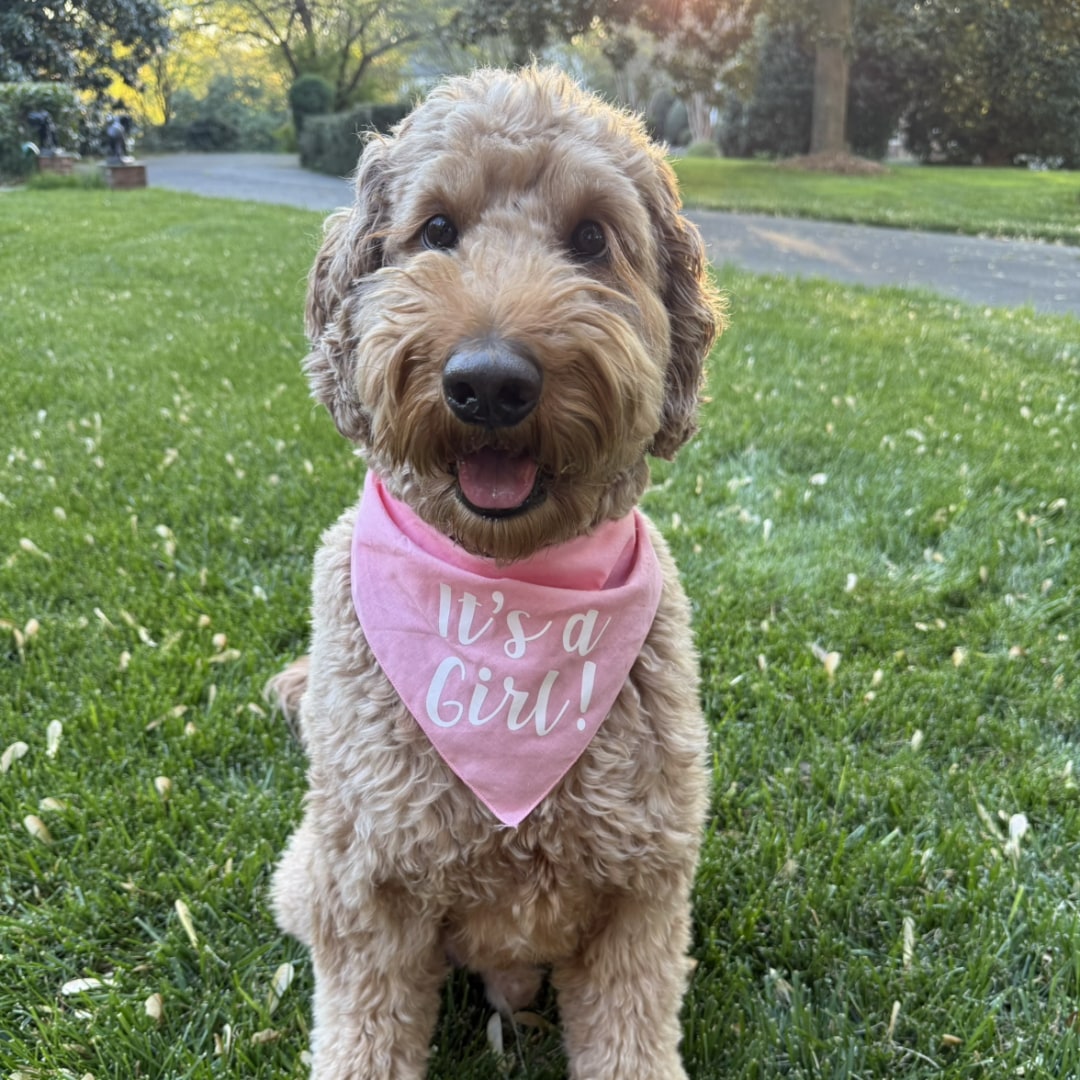 Photo shared by Amelia for their Babylist baby registry.