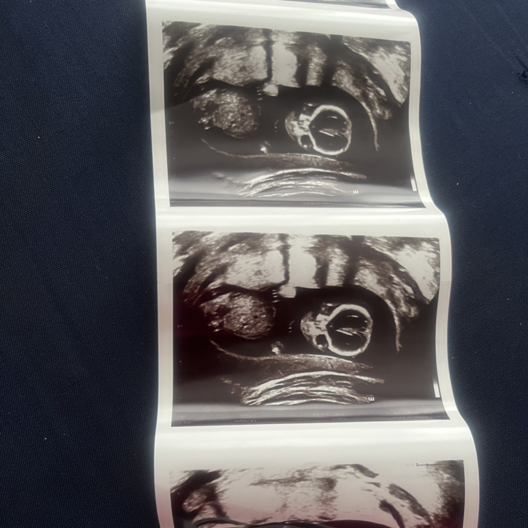 Photo shared by Demeria for their Babylist baby registry.