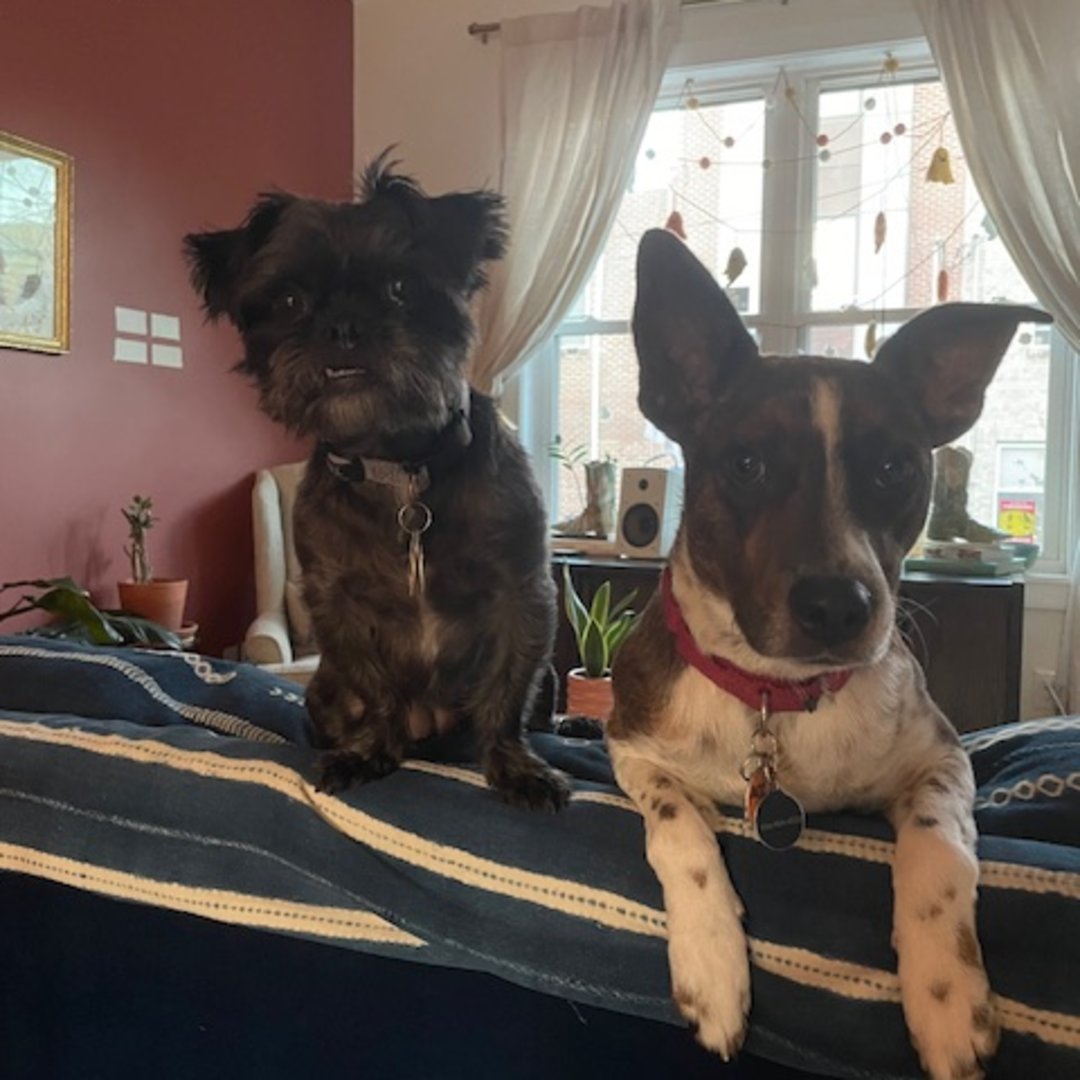 Photo shared by Melissa for their Babylist baby registry.