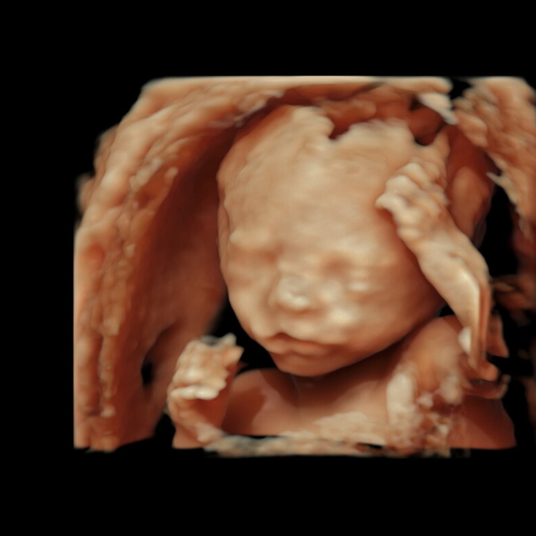 Photo shared by Dani for their Babylist baby registry.