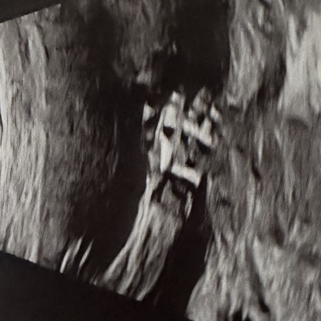 Photo shared by Katie for their Babylist baby registry.