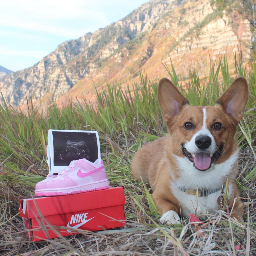 Photo shared by Bella for their Babylist baby registry.