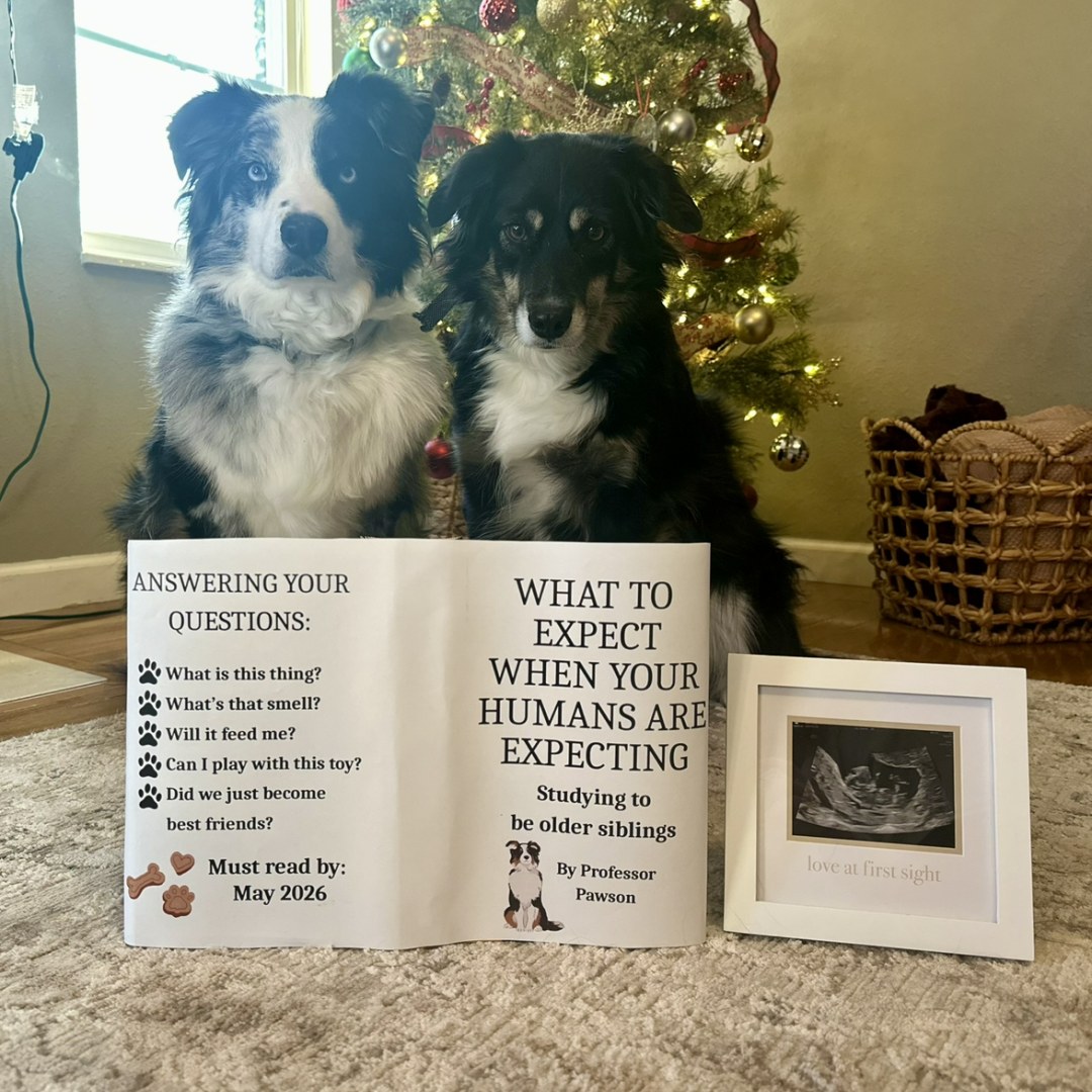 Photo shared by Katlynn for their Babylist baby registry.