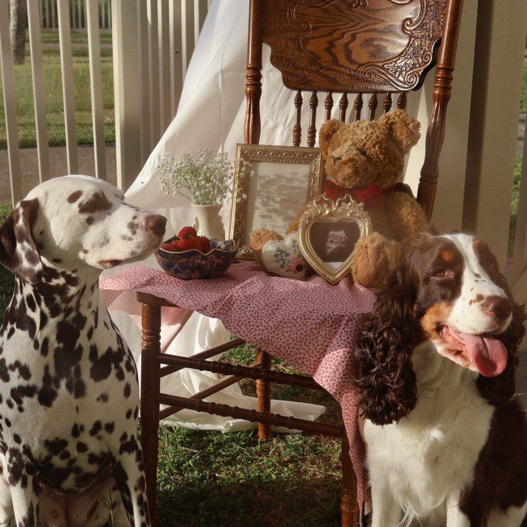 Photo shared by Kaylee for their Babylist baby registry.