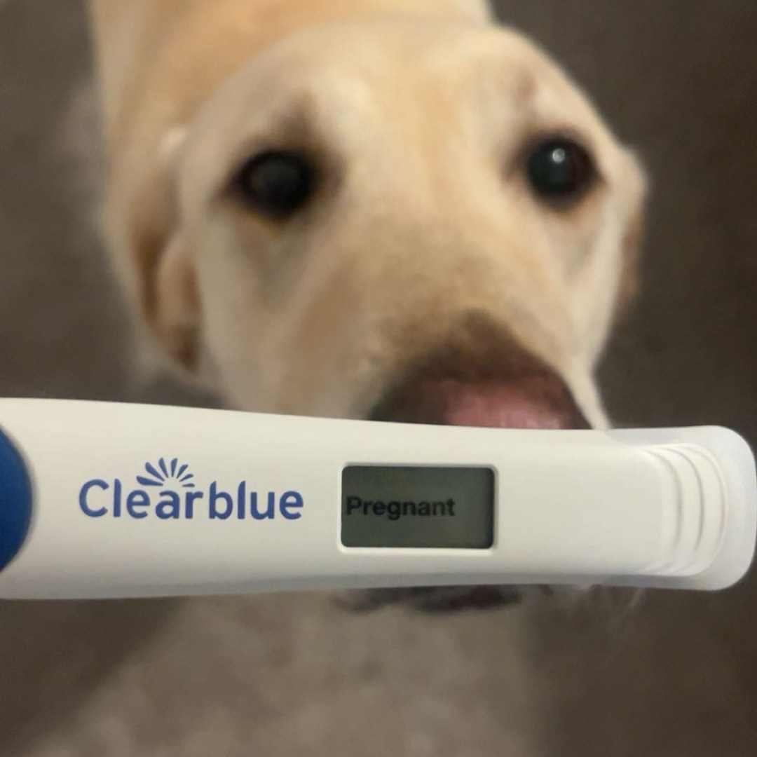 Photo shared by Morgan for their Babylist baby registry.