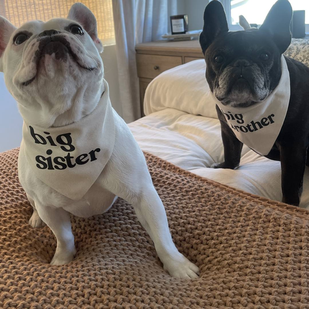 Photo shared by Phoebe for their Babylist baby registry.