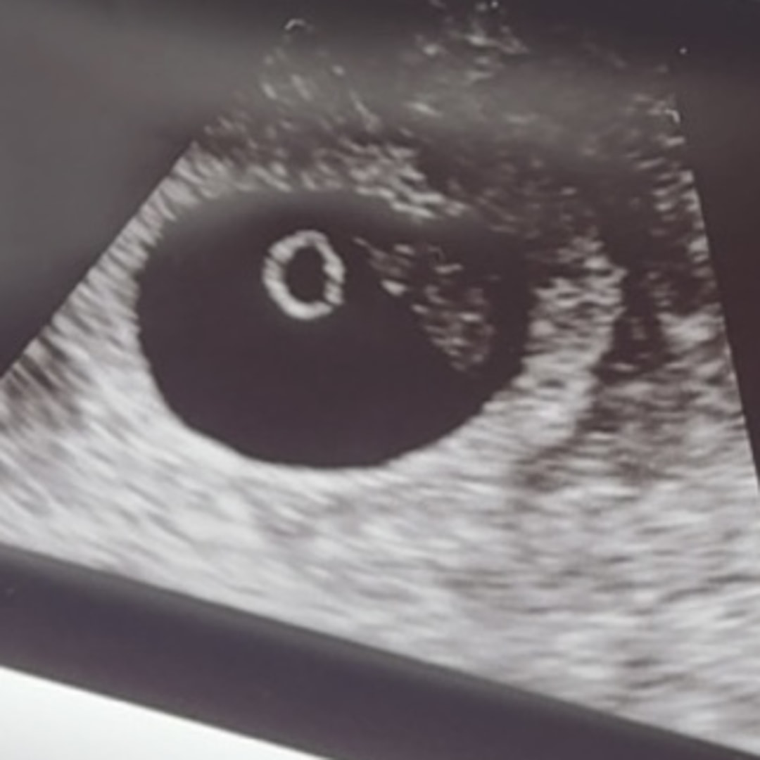 Photo shared by Lahela for their Babylist baby registry.