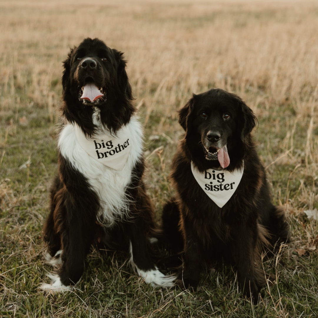Photo shared by Allissa for their Babylist baby registry.