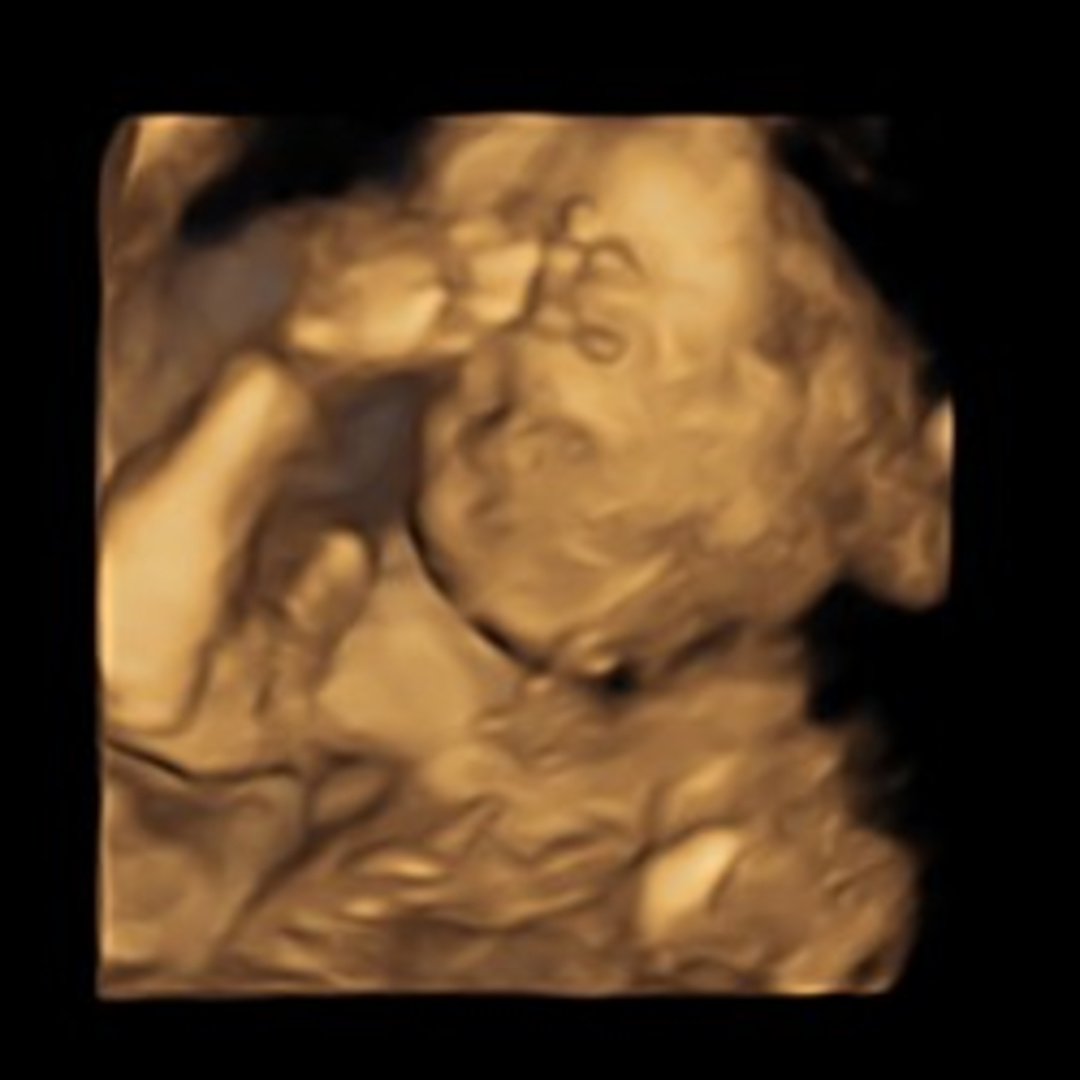 Photo shared by Claire for their Babylist baby registry.