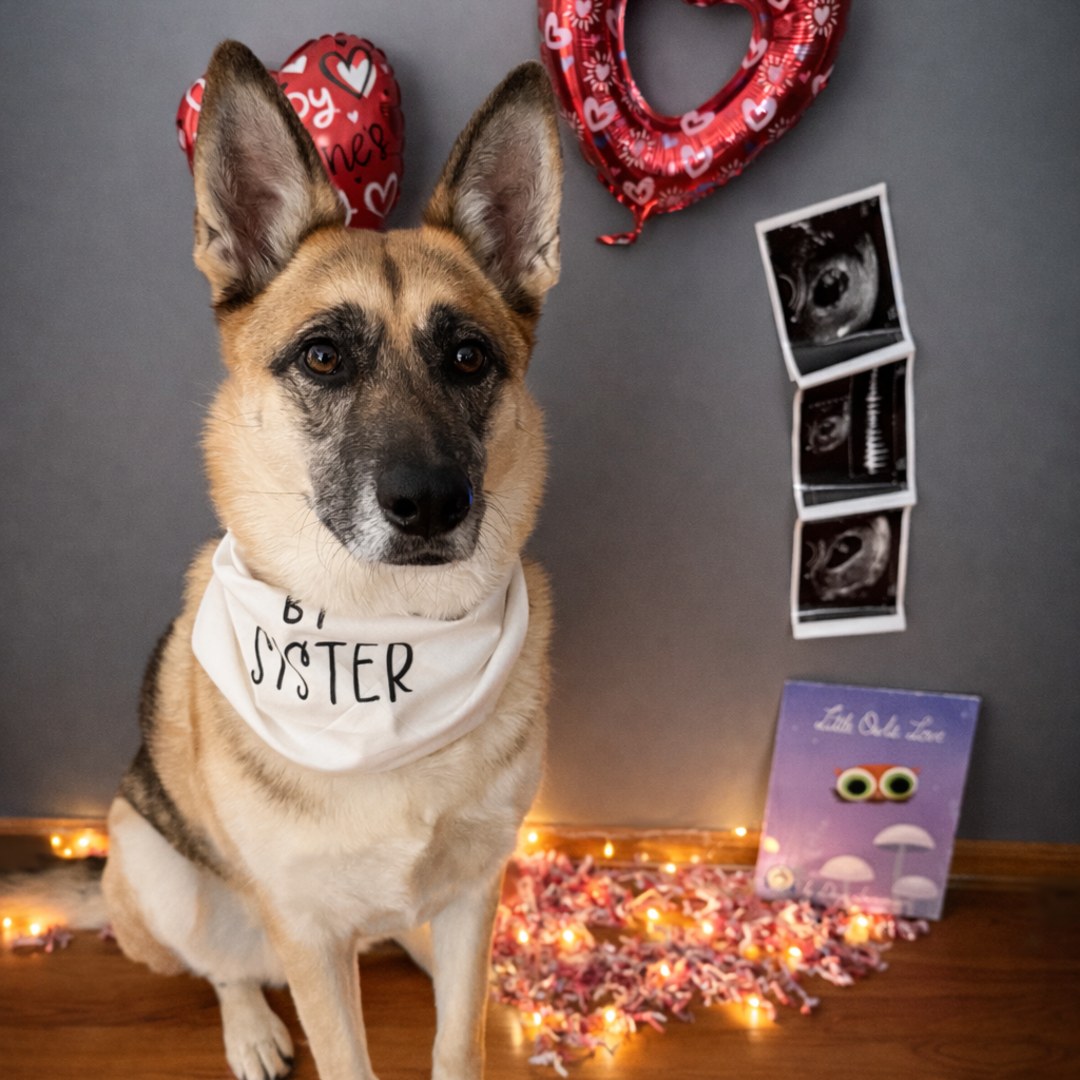 Photo shared by Ceaira for their Babylist baby registry.