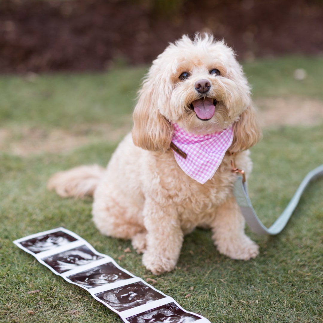 Photo shared by Valerie for their Babylist baby registry.