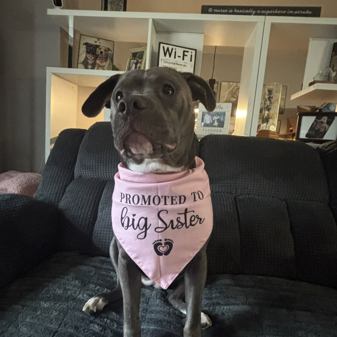 Photo shared by Amanda for their Babylist baby registry.