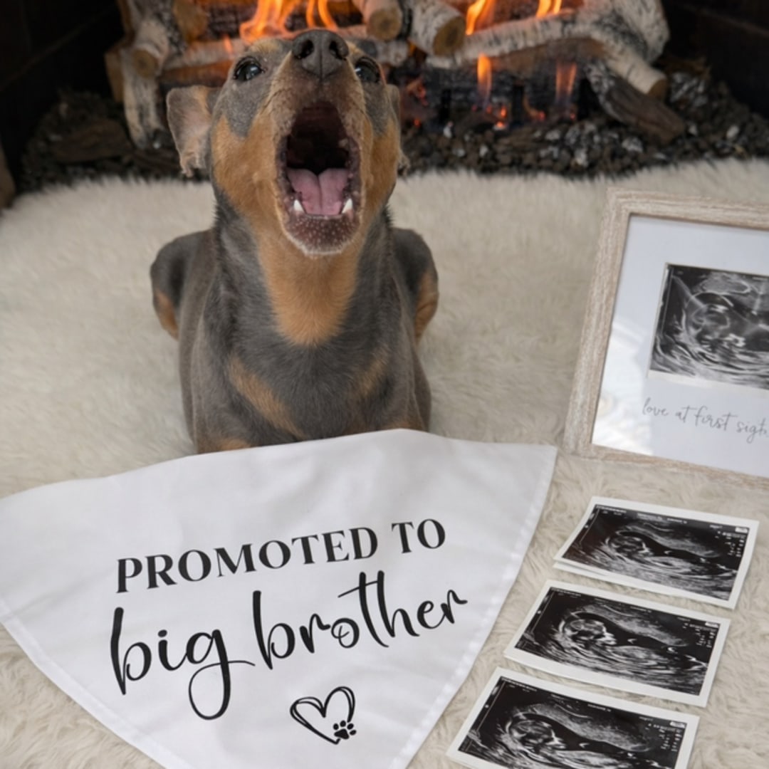 Photo shared by Christine for their Babylist baby registry.