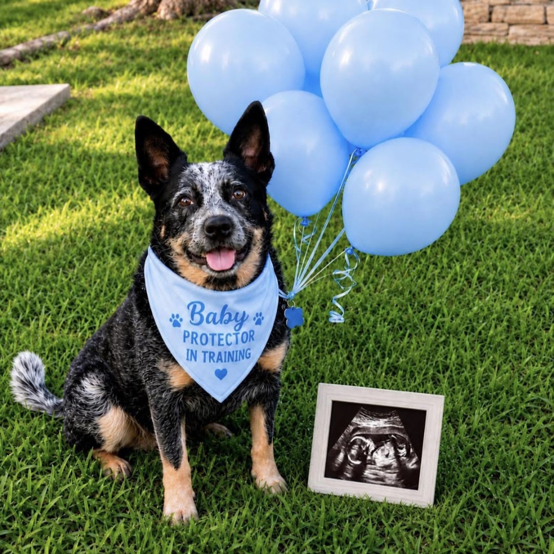 Photo shared by Allison for their Babylist baby registry.