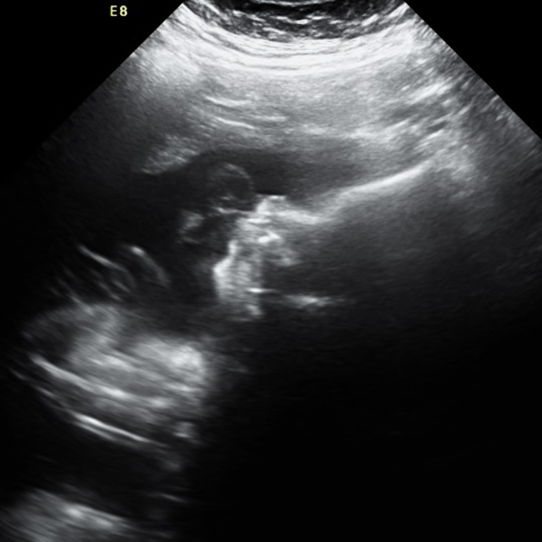Photo shared by Claudia for their Babylist baby registry.