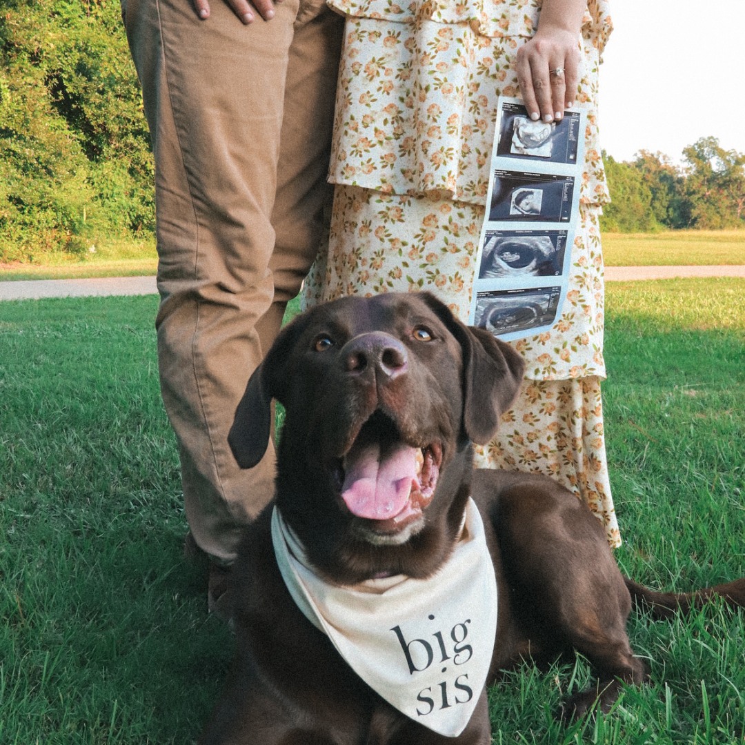 Photo shared by Katelyn for their Babylist baby registry.