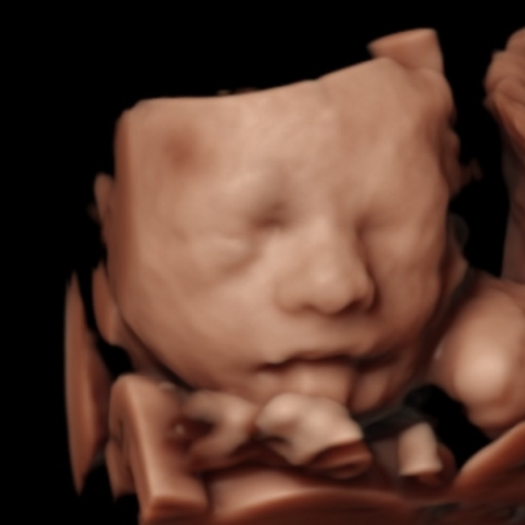 Photo shared by Maria for their Babylist baby registry.