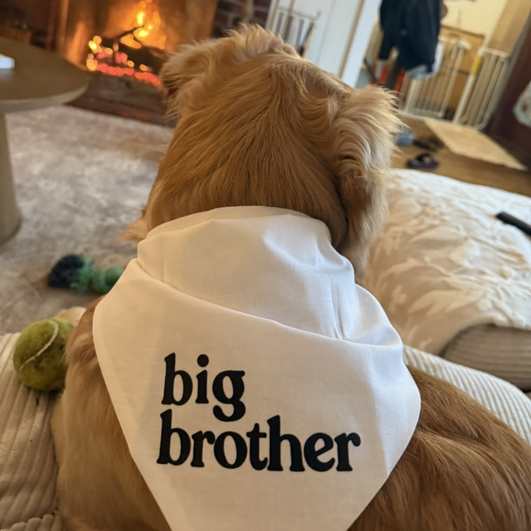 Photo shared by Taina for their Babylist baby registry.