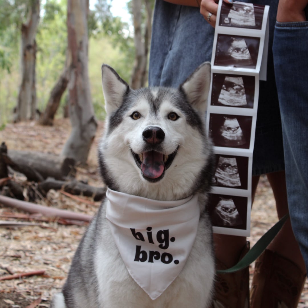 Photo shared by Jordyn & Jeremiah for their Babylist baby registry.