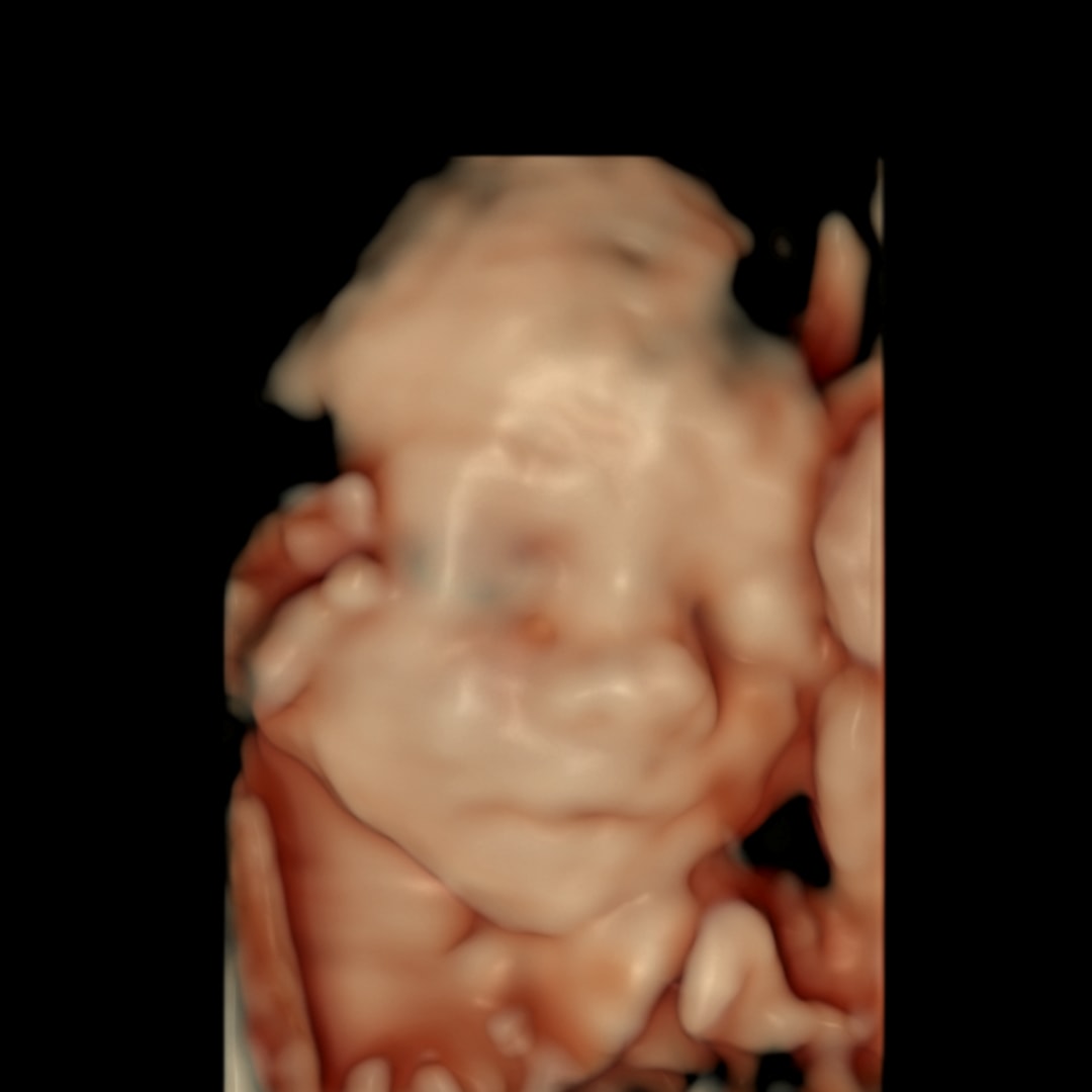 Photo shared by Addison for their Babylist baby registry.
