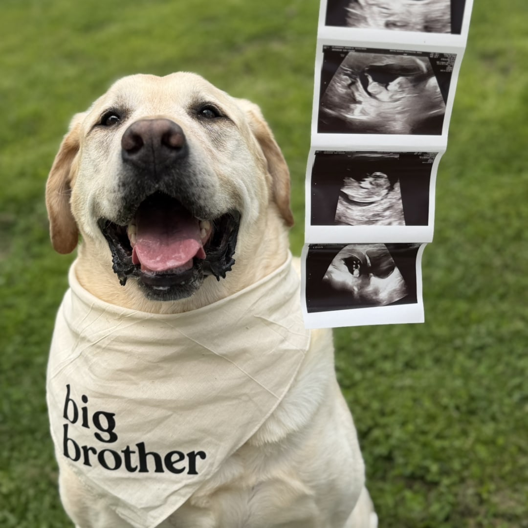 Photo shared by Angela for their Babylist baby registry.